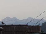 Rooftops of Debulla