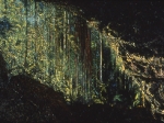 Cave Near Falls of Yayacopí